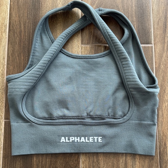 Alphalete Charcoal Ribbed Sports Bra - Picture 9 of 11